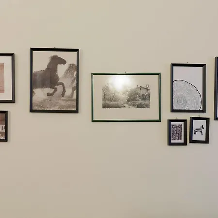Borgo Pinti Living Apartament